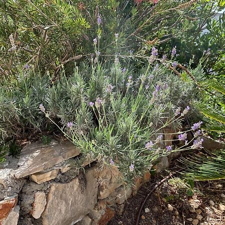 Villa Oleana ماكارسكا المظهر الخارجي الصورة